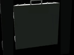 অন্দর বহিরঙ্গন ভাড়া নেতৃত্বে পর্দা