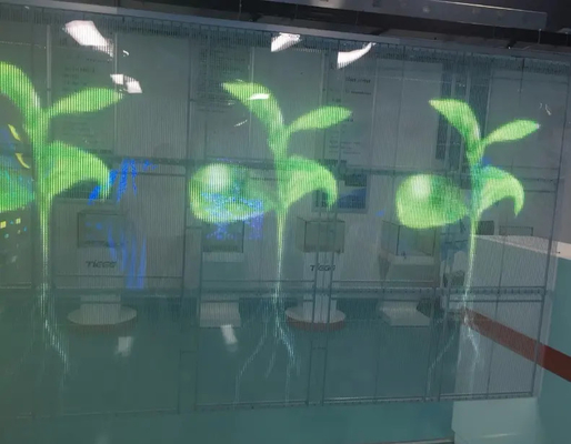 নতুন ডিজাইনের ইনডোর পিসিবি বোর্ড নমনীয় নরম বাঁকা স্বচ্ছ প্রাচীর মাউন্ট করা LED ডিসপ্লে স্ক্রীন